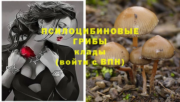 мдпв Карталы