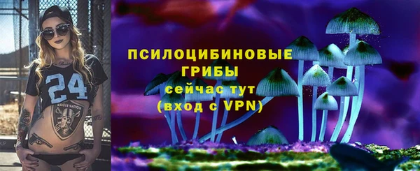 мдпв Карталы