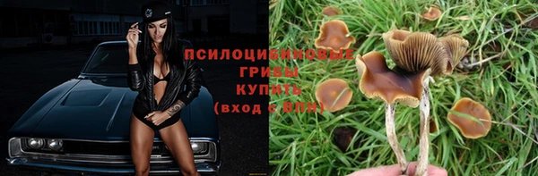 прущий лед Инта