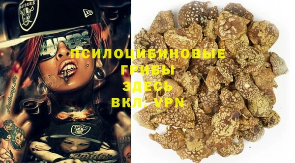 ешки Карпинск