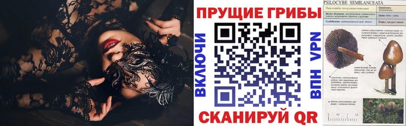Купить закладки  Неман  Псилоцибиновые грибы Cubensis 
